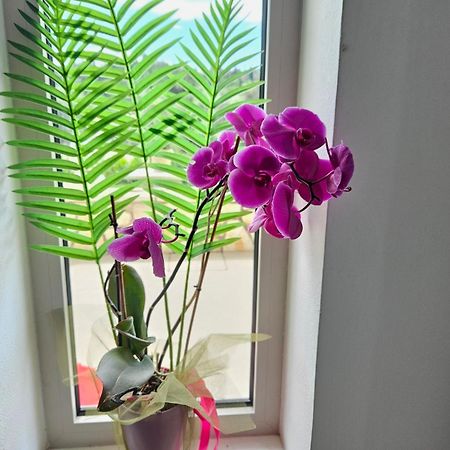 Grey Luxury House Apartment Ipsos Ngoại thất bức ảnh