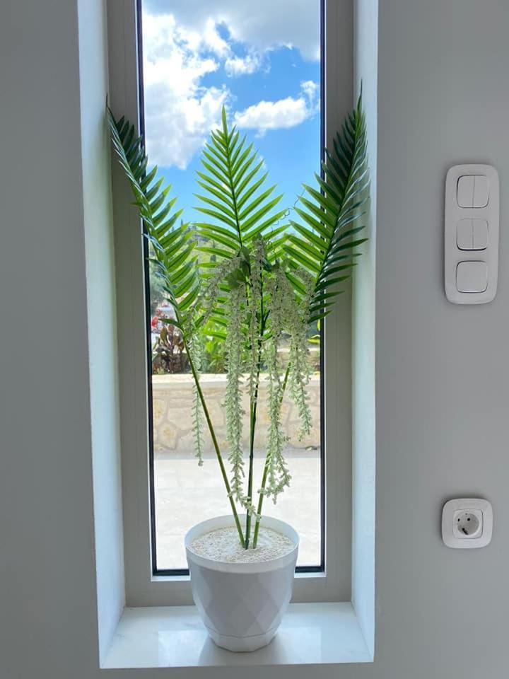 Grey Luxury House Apartment Ipsos Ngoại thất bức ảnh